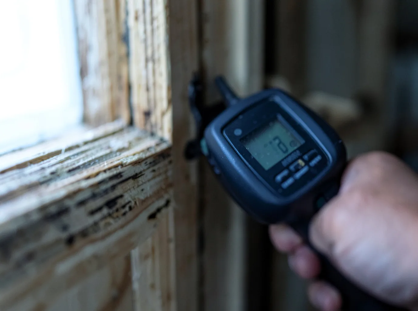 Ceiling Water Damage Repair in Ellisville, MS